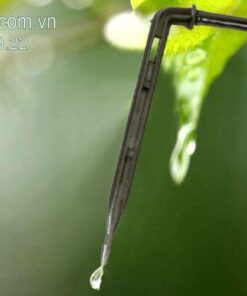 tuoi nho giot (2)