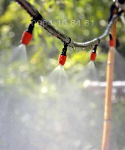 phun sương đầu cam