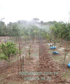 he thong tuoi tai yen vien
