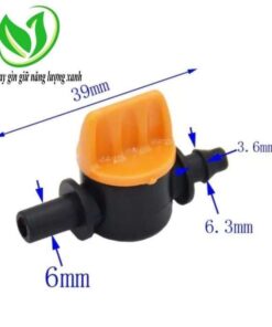khoa 6mm