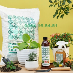 bộ giá thể dinh dưỡng trồng cây