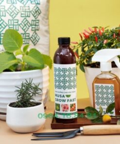 Dinh Dưỡng Trồng Cây