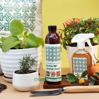 Dinh Dưỡng Trồng Cây